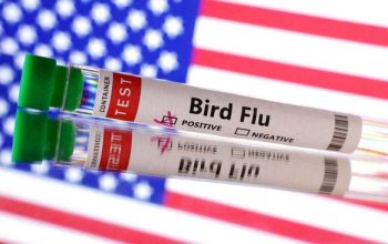 H5N1 Serang Unggas Filipina, Biosekuriti Jadi Sorotan